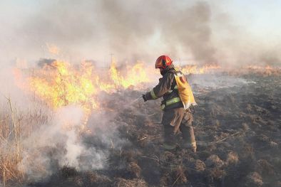 MDZol | A la fecha, más de 40.000 hectáreas se han quemado en Córdoba producto de fuegos fuera de control que arrasan, pastizales, bosques y propiedades. Foto: MDZ
