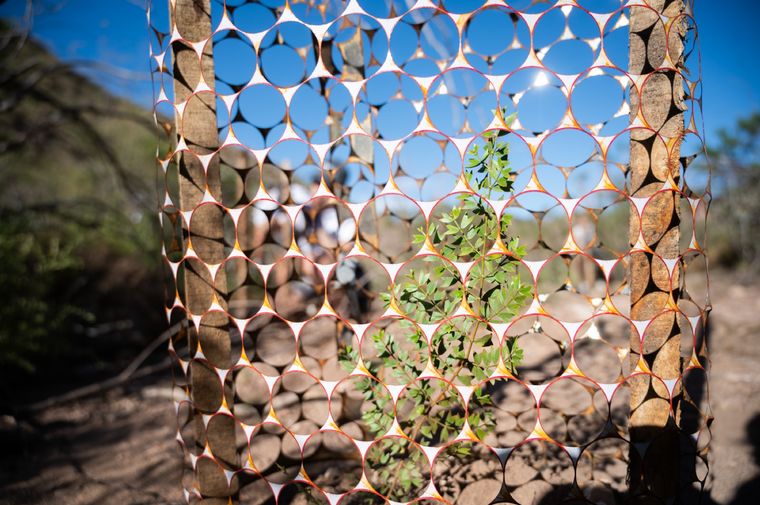 Foto: Prensa Gobierno Mendoza