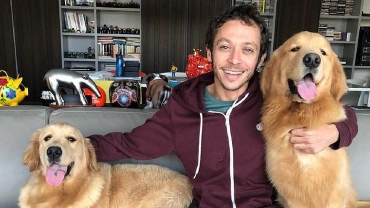 Il Dottore con sus mascotas.