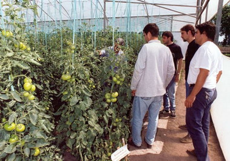 Los cursos se dictarán en el Instituto de Horticultura de Ciencias Agrarias.