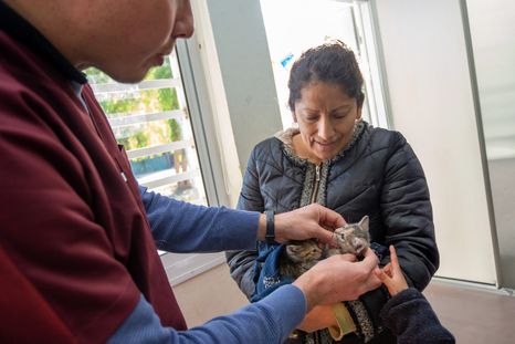 Los operativos se realizarán en distintos barrios de la Ciudad. Los operativos se realizarán en distintos barrios de la Ciudad.