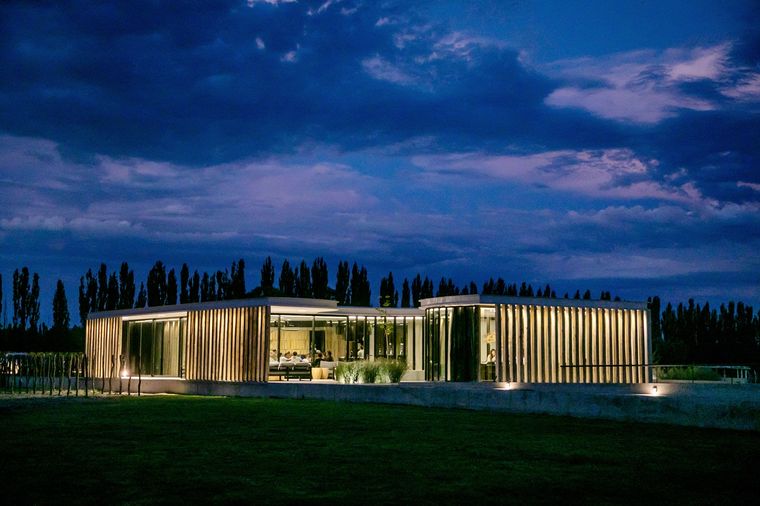 Chakana cultiva uvas, pero también una forma de estar en el mundo. Practica una agricultura que respeta los ciclos y acompaña sin imponerse. Chakana cultiva uvas, pero también una forma de estar en el mundo. Practica una agricultura que respeta los ciclos y acompaña sin imponerse.