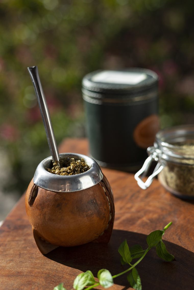 El mate contiene cafeína, lo que lo convierte en un estimulante natural. Foto: Archivo MDZ