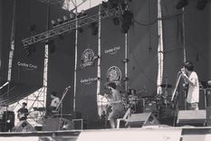 alicia (al palo) en el pais de la psicodelia