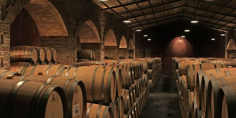 Foto: finca Flichman