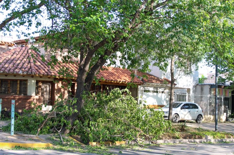 Santiago Tagua /MDZ Foto: Santiago Tagua /MDZ