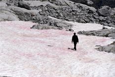 Un hombre camina sobre el glaciar Presena, Italia, el 4 de julio de 2020.