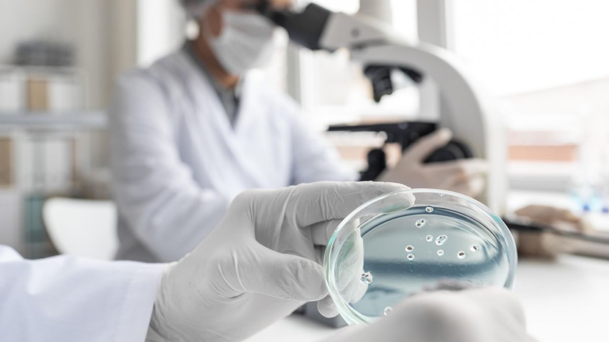 La UNR logró la aprobación de Anmat para fabricar un medicam