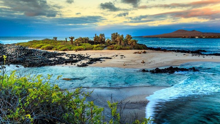 Hay más de 30 sitios dentro de los considerados patrimonios mundiales que están en riesgo, Algunos, como las Islas Galápagos se encuentran en situación más delicada Foto: DreamsTime.