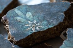 Los frescos romanos revelan detalles impresionantes como esta margarita.
