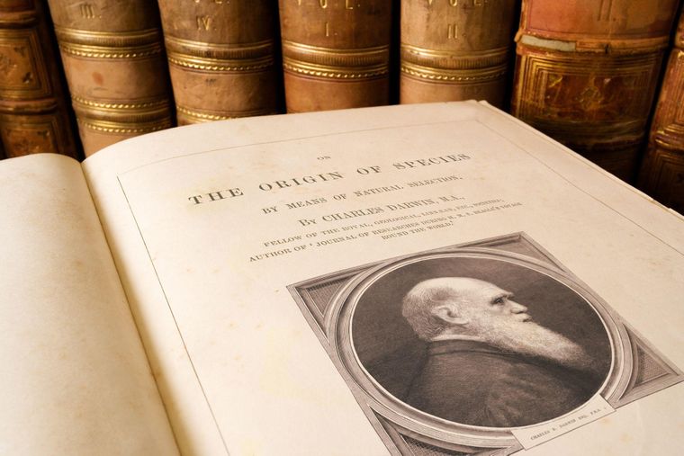 A pesar de su publicación en 1859, &quot;El origen de las especies&quot; y la obra de Darwin comenzaron a enfrentarse a una mayor resistencia por parte de los fundamentalistas tras la Primera Guerra Mundial.