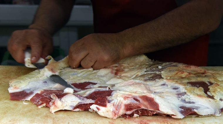 El Gobierno y los productores discuten el precio de la carne y la exportación Foto: ALF PONCE MERCADO / MDZ