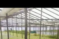 Los quinteros del cordón frutihortícola platense afirman que por el temporal del viernes perdieron gran parte de la producción , especialmente de verdura de hoja Foto: José Luis Carut MDZ