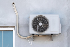 Foto: Freepik Foto: Freepik