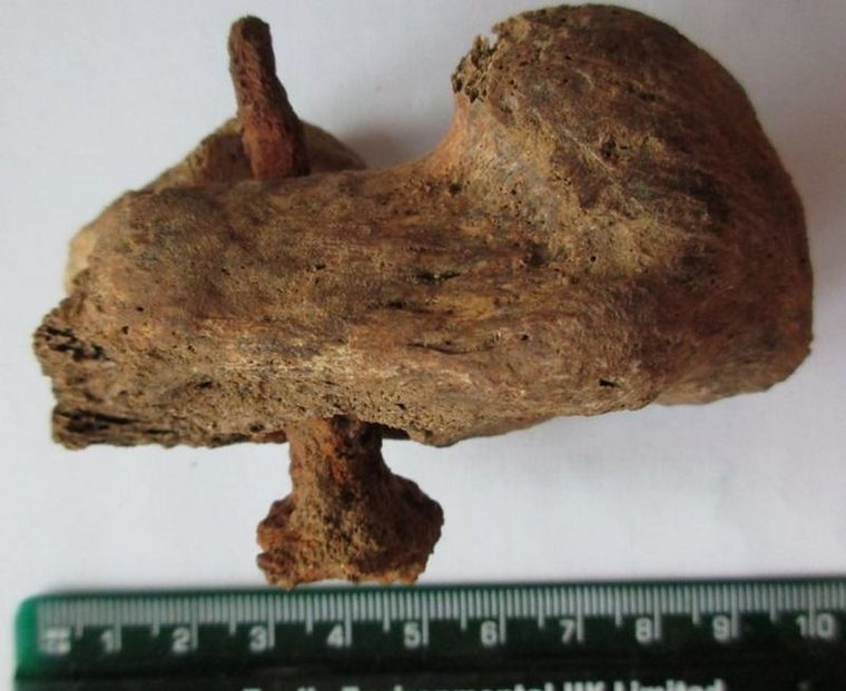 Fue un hallazgo casi único, dijeron varios arqueólogos que han tenido acceso a las excavaciones. Foto: ALBION ARCHAEOLOGY