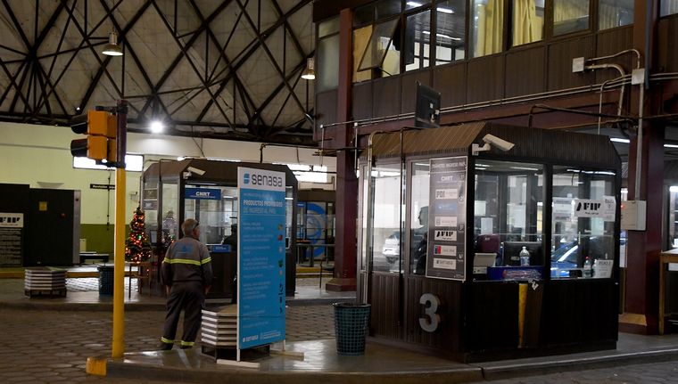 Foto: Alf Ponce Mercado/MDZ