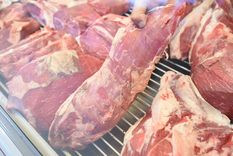 La carne alcanzó los $4000 en octubre para algunos cortes Foto: Maximiliano Ríos/MDZ