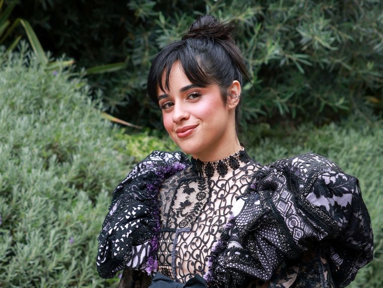 Camila Cabello compartió una arriesgada foto que desató la locura de sus admiradores.