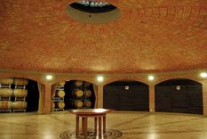 Bodegas Bianchi, con establecimientos en San Rafael y Valle de Uco, enfrenta una deuda de más de $1.000 millones. Bodegas Bianchi, con establecimientos en San Rafael y Valle de Uco, enfrenta una deuda de más de $1.000 millones.
