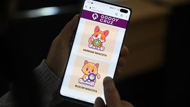Plataforma virtual para facilitar la adopción responsable de mascotas.