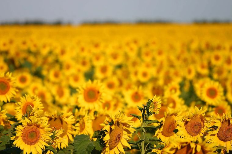 Este pueblo enamora por su entorno rural Foto: Turismo miramar