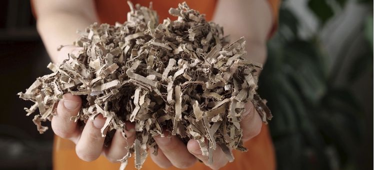 El cartón puede ser tu nuevo aliado en la batalla contra las malezas Foto: Shutterstock