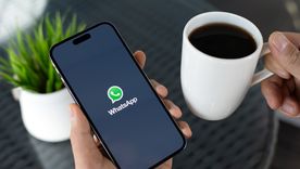 WhatsApp renueva sus Estados. WhatsApp renueva sus Estados.