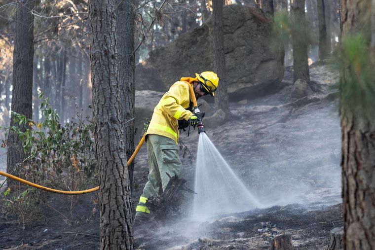 Los incendios en la Patagonia ya arrasaron con más de 4.000 hectáreas. Los incendios en la Patagonia ya arrasaron con más de 4.000 hectáreas.