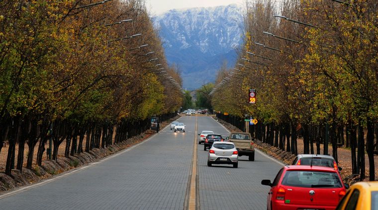 Advierten que una gran cantidad de árboles se están secando en el Parque General San Martín por falta de riego y mantenimiento adecuado. Foto: ALF PONCE MERCADO / MDZ