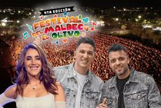 El Parque Metropolitano Sur será la sede de tres jornadas cargadas de música y sabor. / Archivo MDZ