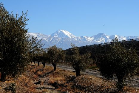 Vinexpo Explorer Mendoza 2026: The Bulk Wine Chapter es uno de los eventos más esperados del año en la industria vitivinícola. Vinexpo Explorer Mendoza 2026: The Bulk Wine Chapter es uno de los eventos más esperados del año en la industria vitivinícola.