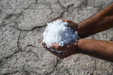 "La intrusión de agua salada es un ejemplo perfecto de una crisis climática de evolución lenta", dice el geólogo Robert Young "La intrusión de agua salada es un ejemplo perfecto de una crisis climática de evolución lenta", dice el geólogo Robert Young