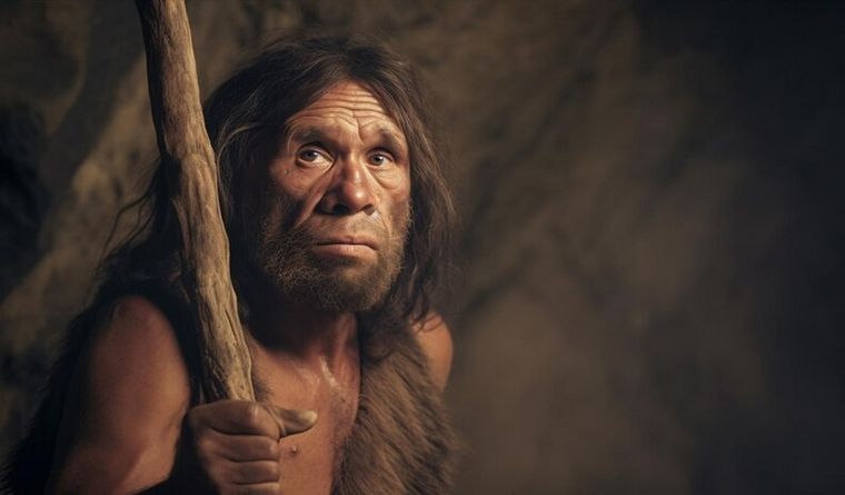 El homo sapiens, un milagro evolutivo. Foto: FreePic. IA