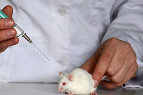 El tejido humano artificial podría reemplazar los experimentos con animales
