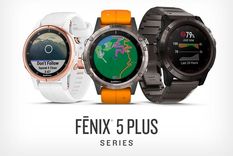 garmin f?nix 5 plus: mapas, pago nfc, oxigeno en sangre y rmusica