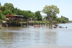 Un pescador encontró el lunes por la mañana el cuerpo de un perro que había sido ahogado en Isla Paulino, Berisso. Tenía una soga al cuello atada a una pesada piedra. Foto: La Buena Info