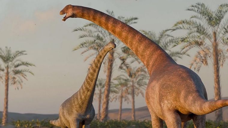 Chadititan calvoi es un dinosaurio herbívoro de cuello largo que vvió hace 75 millones de años. Foto: Gabriel Diaz Yanten