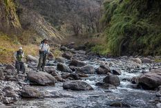Este atractivo es uno de los más sorprendentes del Norte argentino Foto: Ruta Natural