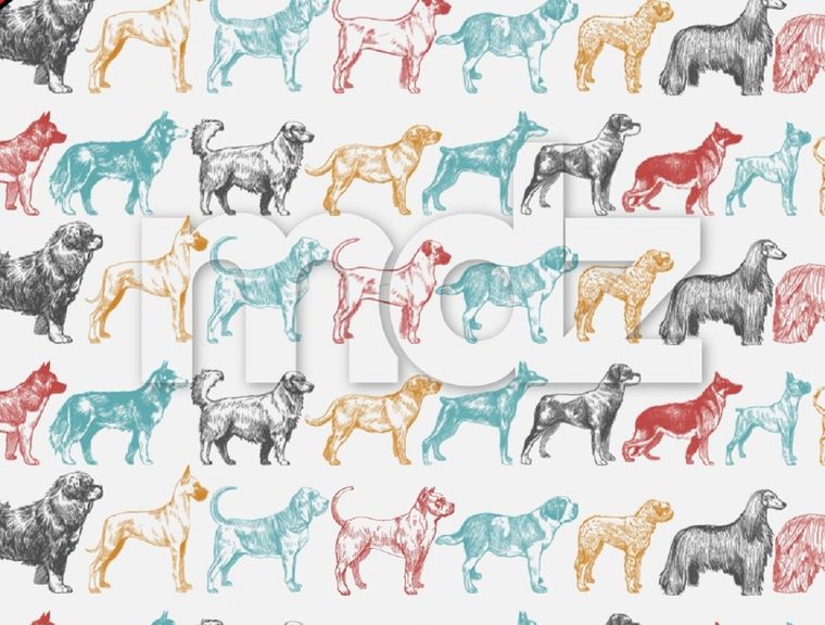 El acertijo visual es para algunas personas casi imposible de resolver en el tiempo solicitado Foto: Archivo MDZ