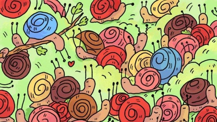 ACERTIJO VISUAL ACERTIJO VISUAL, RETO VISUAL, ROSA Foto: ARCHIVO