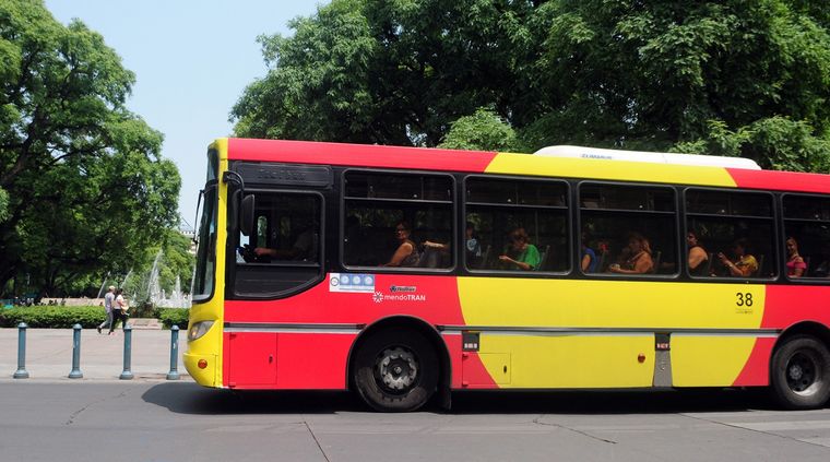 Foto: ALF PONCE / MDZ