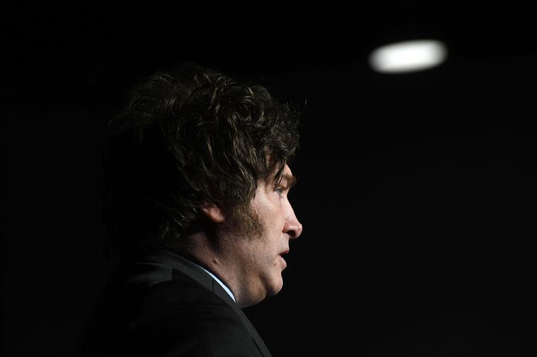 Javier Milei volvió a desmentir las denuncias por la presunta venta de candidaturas y ratificó que irá a la Justicia. Foto: Télam