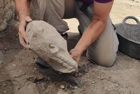 El hallazgo arqueológico corresponde a una cabeza de piedra caliza de más de 2.000 años que conserva un elaborado peinado con trenzas y tirabuzones.