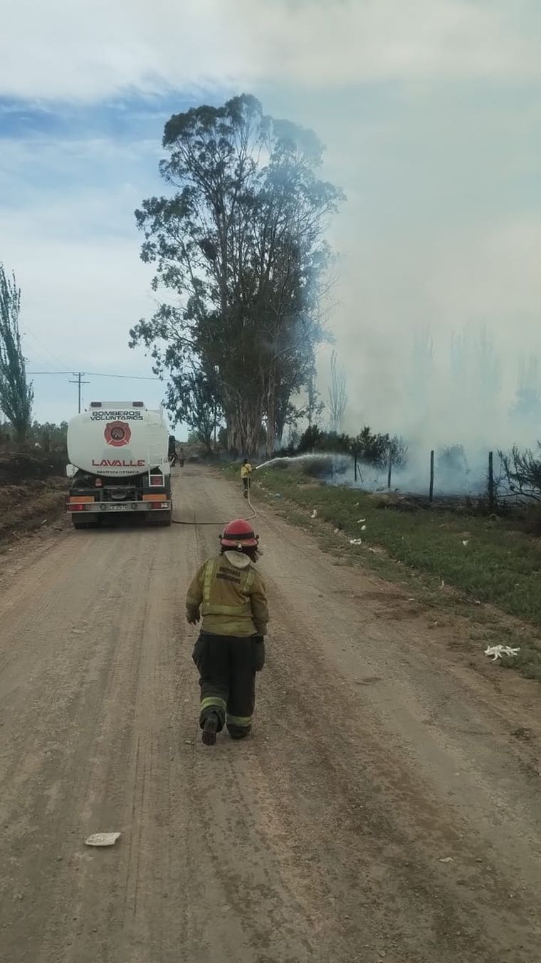 WhatsApp Image 2025-10-31 at 4.29.06 PM.v1