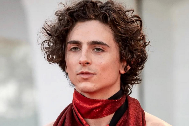 Timothée Chalamet es uno de los actores jóvenes del momento.