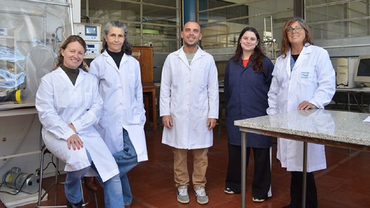 Científicos del Conicet buscan nuevas estrategias contra enfermedades del cultivo.