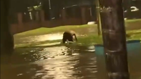 La reacción del padre del nene tras enterarse de la muerte de su hijo. La reacción del padre del nene tras enterarse de la muerte de su hijo.