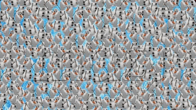 El acertijo visual pone a prueba el nivel de atención de los lectores Foto: Archivo MDZ