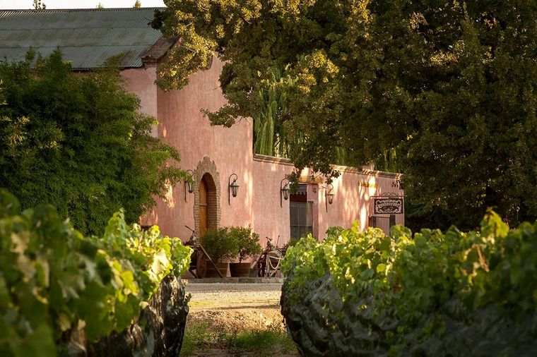 Según la inteligencia artificial, algunas provincias argentinas ofrecen las condiciones ideales para una jubilación tranquila y accesible.