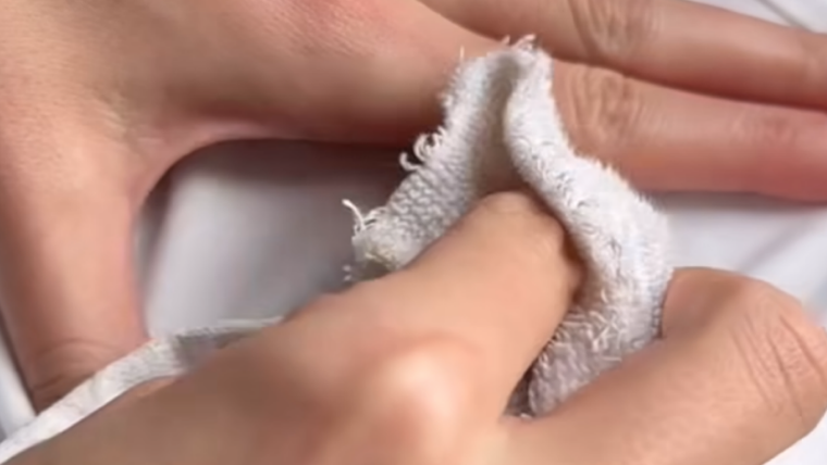 Utilidades Qué necesitabas saber. Foto: Fuente: imagen - Instagram @cleantoxmexico